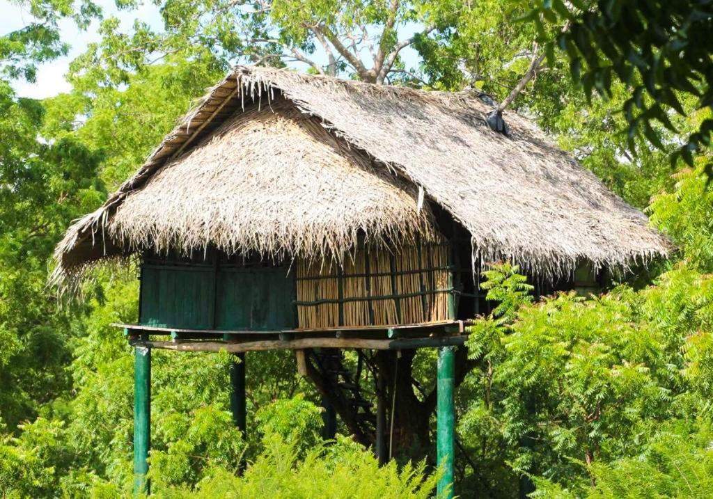 Yala Beddegama Eco Hotel Kataragama Eksteriør billede