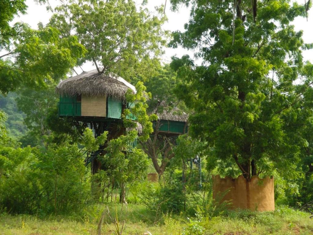 Yala Beddegama Eco Hotel Kataragama Eksteriør billede