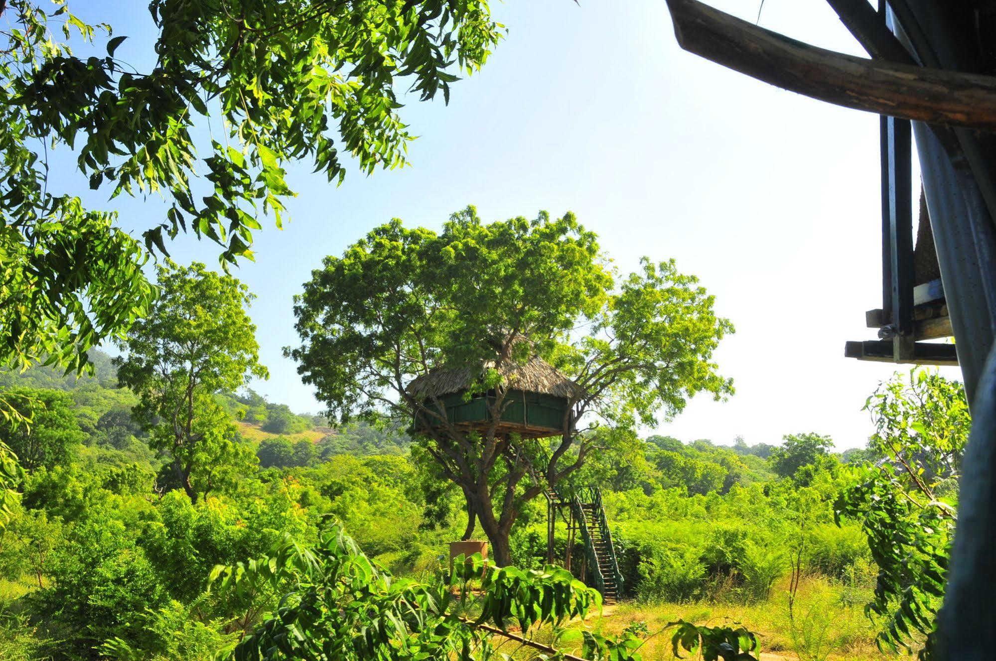 Yala Beddegama Eco Hotel Kataragama Eksteriør billede